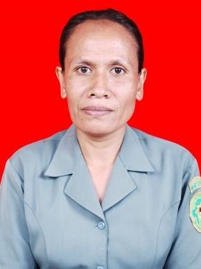p albertina